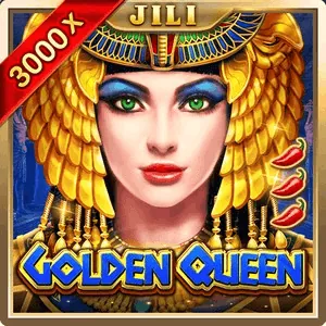 Live casino provider